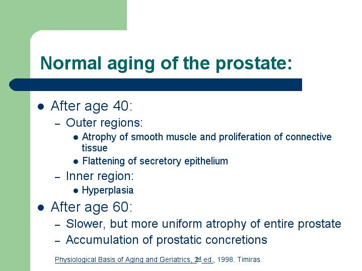Normal Prostate Volume 70 Year Old